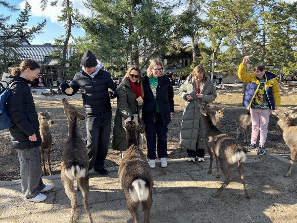 Feeding the deer in Nara, Japan