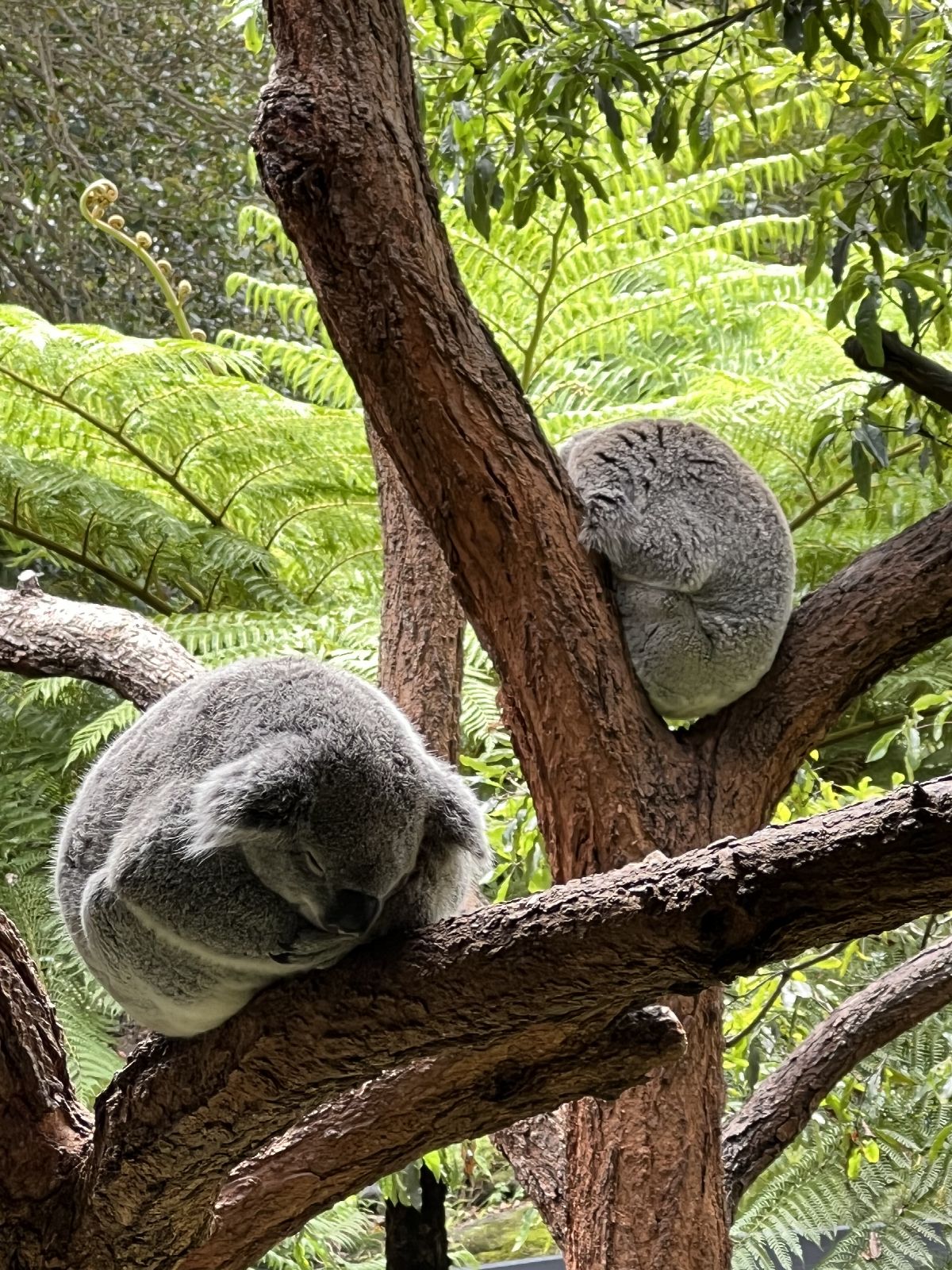 A travel photo from Australia